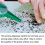 6 Pcs Small Seed Spreader Manual Dibber Set Vegetables Flowers 5