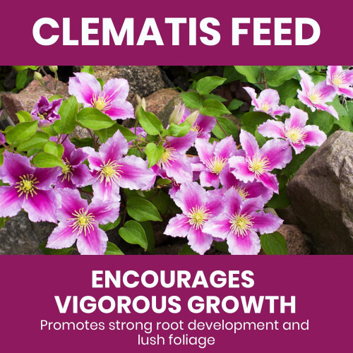 Vitax Vitax Clematis Feed Pouch 0.9Kg & Liquid Feed 1L 1