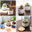 6Pcs Plantkruksunderlägg För Kryddväxter 9