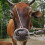 Rostfritt Näsring För Boskap Silver Cattle Nose Ring Lantbruk 9