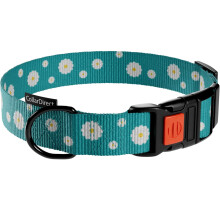 Collier pour chien en nylon réglable 30,5-40,6 cm, léger, confortable, motif unique, fermeture rapide, idéal promenade et jeu