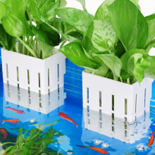 Ensemble de supports pour plantes d'aquarium avec ventouses 2 pièces blanc