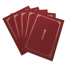 5 Guld Färgade Stansade Dokumenthöllar