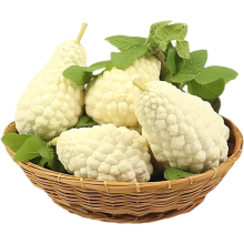 White Chinese Bitter Melon Seeds - 10 Pack of Exotic Balsam Pear for Climbing, Asian Cuisine & Container Gardening