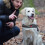 2St Hundmärkningar Do Not Pet Patch För Service- Och Arbetsdjur 5