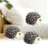 20Stk Mini Gartendekoration Für Terrarium 10