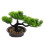 5Pz Bonsai Artificiali Per Ufficio O Casa 2