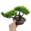 5Pz Bonsai Artificiali Per Ufficio O Casa 11