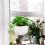 1Set Wit Plastic Hangplant Houder Voor En 11