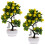 6Ud Bonsáis Decorativos Artificiales Verde Para Y 3