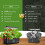 Hydroponics Indoor Garden Kit Justerbar 8