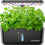 Hydroponics Indoor Garden Kit Justerbar 2