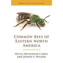 Common Bees of Eastern North America by Joseph S. Wilson Paperback Boo