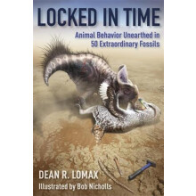 Locked in Time by Robert Nicholls Hardcover Book