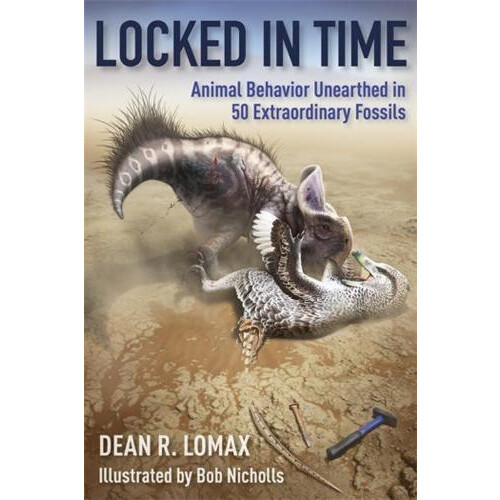 Locked in Time by Robert Nicholls Hardcover Book