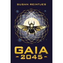 Gaia 2045 by Susan Reintjes Paperback Book