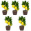 5St Simulatie Bonsai Kunstboom Multi Kleurig Voor Feest Decor 3