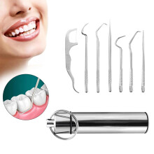 7 Stück Edelstahl wiederverwendbare Zahnstocher-Set mit Halter für Reisen und Camping, Silber