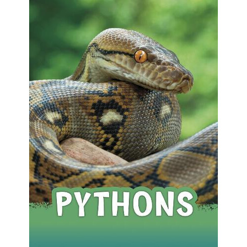 Pythons by Martha E. H. Rustad Paperback Book