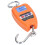 200kg Load Portable Hanging Scale - Accurate & Durable w/ LCD Display 15
