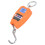 200kg Load Portable Hanging Scale - Accurate & Durable w/ LCD Display 8