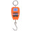 200kg Load Portable Hanging Scale - Accurate & Durable w/ LCD Display 2