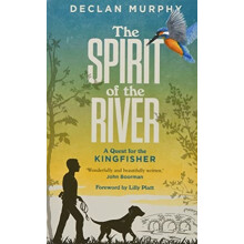 The Spirit of the River by Declan Murphy Paperback Book