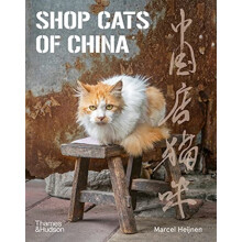 Shop Cats of China by Marcel Heijnen Paperback Book