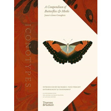 Iconotypes Hardcover Book