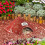 Herpeton Shelter For Toads Toads Lizards Tortoises-Green 2