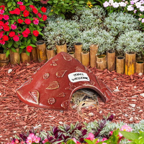 Herpeton Shelter For Toads Toads Lizards Tortoises-Green 1