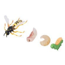 Wasp Bee Growth Cycle Model Toy: Educational Decor for Kids