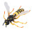Wasp Bee Growth Cycle Model Toy: Educational Decor for Kids 12