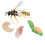 Wasp Bee Growth Cycle Model Toy: Educational Decor for Kids 14