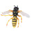Wasp Bee Growth Cycle Model Toy: Educational Decor for Kids 5