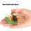 Wasp Bee Growth Cycle Model Toy: Educational Decor for Kids 3