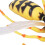 Wasp Bee Growth Cycle Model Toy: Educational Decor for Kids 8