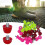 12Pcs/set Football Studs Replacement Safety Plastic-Pink 7mm 4