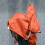 4er Pack Notfall-Regenponchos | Wasserdichte Thermo-Camping-Ausrüstung 11