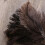 Ostrich Duster Feather Cleaning Brush with Long Handle Computer 4