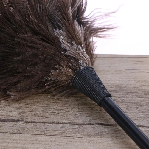 Ostrich Duster Feather Cleaning Brush with Long Handle Computer 2