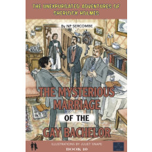 The Mysterious Marriage of the Gay Bachelor | Hardback