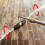 Heavy Duty Quick Changes Aluminum High Pressure Nozzle 4000PSI 5