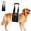 Dog Lift Harness for Small Medium Large Dogs No Pull Assist-S 1