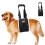 Harnais d'assistance pour chiots, support de jambes pour la-S 1