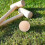 4 ballen voor , bocce en grasrolspel – accessoires 7