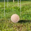 4 ballen voor , bocce en grasrolspel – accessoires 9