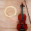 2 Hengsten Professionele Vioolboog Mongools Hengsthaar (Wit) 6