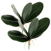 2Stk Künstliches Phalaenopsis Blatt Für (Grün)