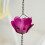 (1 Pack) Rose Flower Rain Chain - Decorative Downspout 7